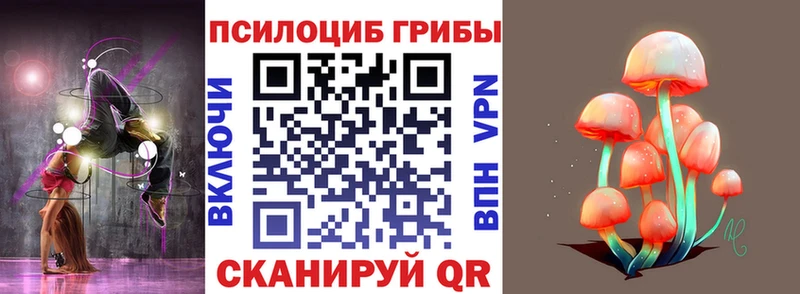 Псилоцибиновые грибы Psilocybine cubensis  Нязепетровск 